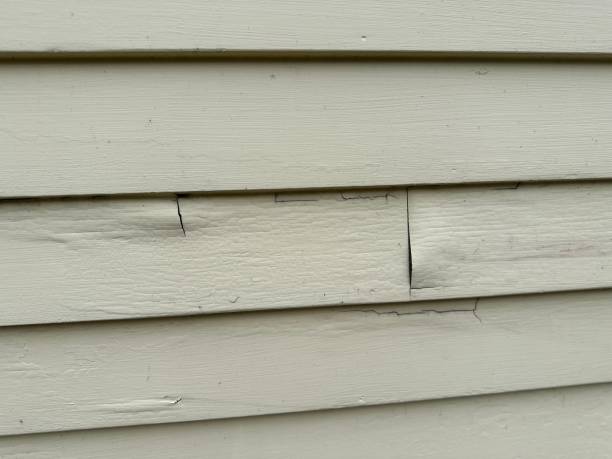 Best Wood Siding Installation  in Inglis, FL